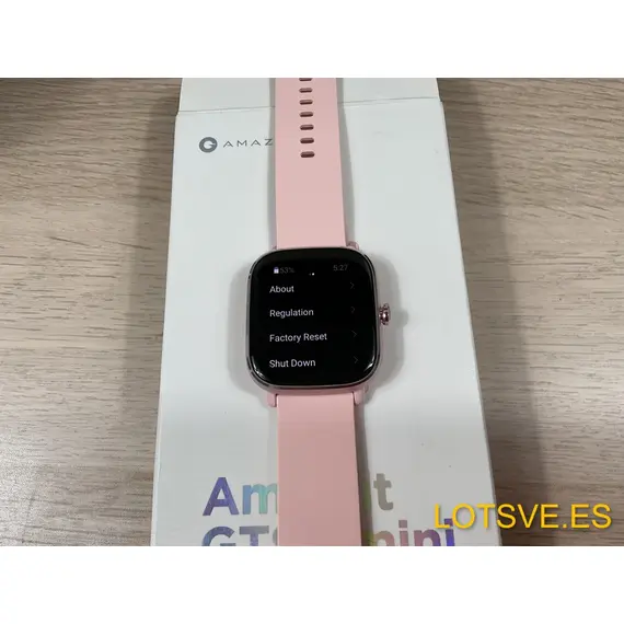 Amazfit GTS 2 Mini: