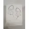 Auriculares Airloop KZ Zsn Pro